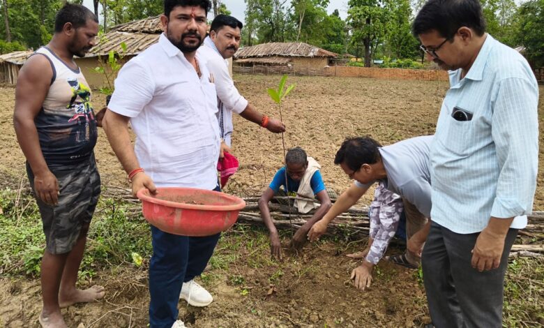 प्रयास: “अ स्मॉल स्टेप फाउंडेशन” की अनूठी पहलअचानकमार अभयारण्य में ‘हर घर एक फलदार पौधा’ अभियान प्रारंभ प्रयास: “अ स्मॉल स्टेप फाउंडेशन” की अनूठी पहलअचानकमार अभयारण्य में ‘हर घर एक फलदार पौधा’ अभियान प्रारंभ